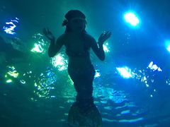 -成都浩海立方海洋公园