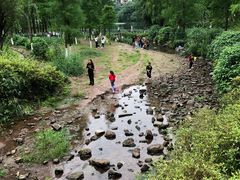 -重庆彩云湖湿地公园