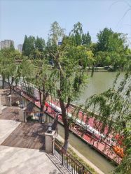 -卓玥国际月子会所(罗山路店)