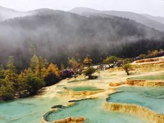 -黄龙山原始森林景区
