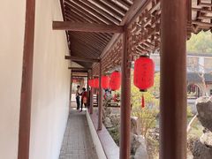 -上海醉白池公园