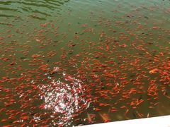 景点-西海子公园