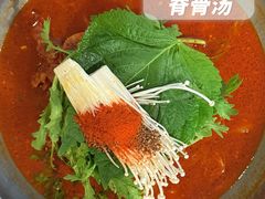 -喇喇排骨火锅·传统韩式脊骨汤(望京西园总店)