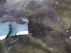 -鸿通城购物中心