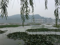 -双湖农庄