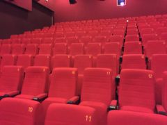 -武汉华夏国际影城(鲁广店)