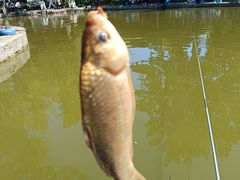 -酷鱼垂钓CLUB(朝阳区博大路店 )