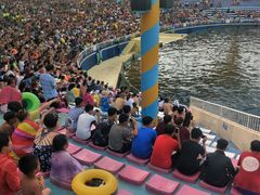 -秦皇岛乐岛海洋王国