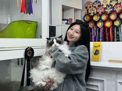 -青奢宠物·青奢猫舍