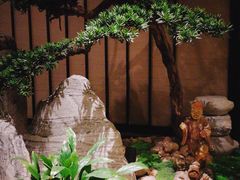 -姗娜娜足道·SPA(古北店)