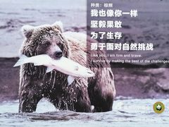 -北京动物园
