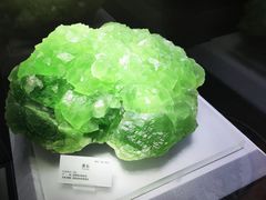 -湖南省地质博物馆