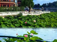 -后海公园