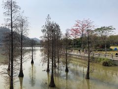 -顺峰山公园