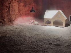 -酷嗒动物文化乐园(cutezoo西溪乐天城店)