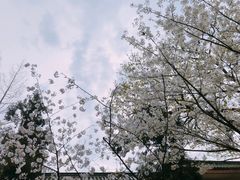 -UNI UNI(环亚凯瑟琳店)