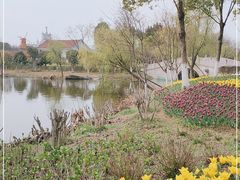 -杭州湾海上花田景区
