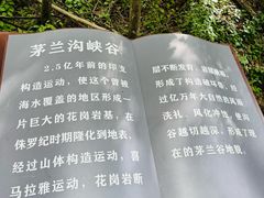 -茅兰沟国家森林公园