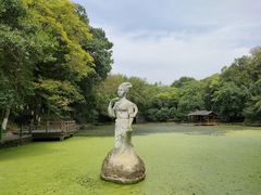 -善卷洞风景区
