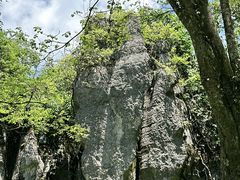 -山王坪喀斯特国家生态公园
