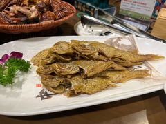 -海拉尔蒙古包(房山长阳总店)
