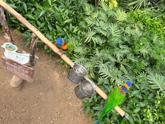 -南宫五洲植物乐园