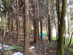 -武陵山森林公园