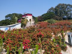 -松山湖梦幻百花洲
