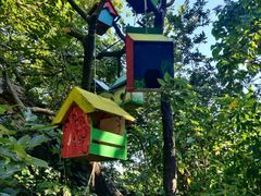 -华侨城湿地公园