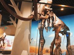 -国家自然博物馆