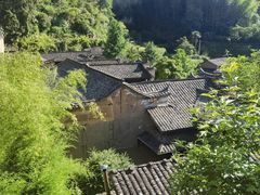 -杨家堂村