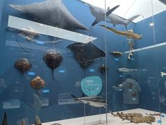 -国家自然博物馆