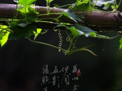 -太湖源风景区