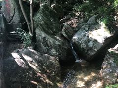 -王顺山国家森林公园