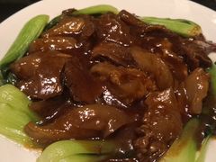 黄焖牛蹄筋-来顺成饭庄
