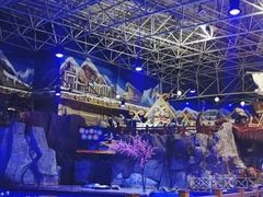 -海合安青岛极地海洋公园