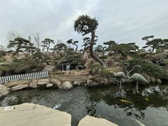 -罗红摄影艺术馆