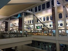 -厦门高崎国际机场-T3航站楼