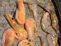 -鑫海汇海鲜烤肉自助(北国商城店)