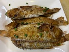 煎鱼-阳江餐厅·30年老字号·粤菜海鲜大排档