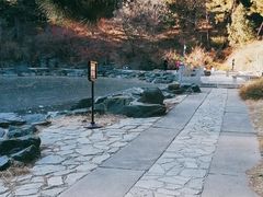 -香山公园