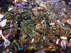 -盒马鲜生(莱蒙都会店)