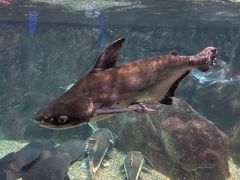 -太平洋海底世界