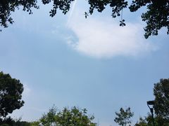-东莞植物园