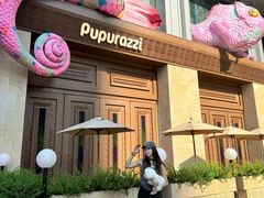 -帕帕拉兹宠物(亚洲旗舰店)