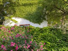 -青岛海滨风景区小鱼山