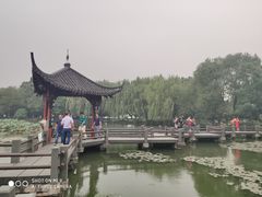 -西湖外事游船(花港观鱼码头)