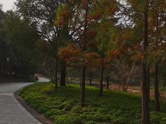 -同里国家湿地公园