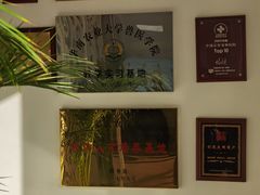 -北京观赏动物医院·24小时大型综合·猫专科·异宠专科