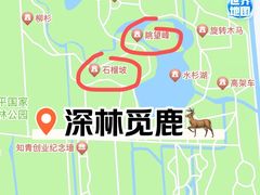 -东平国家森林公园